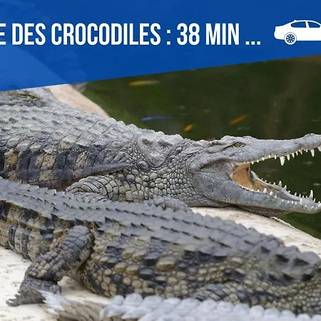 Simplicien *cosy* Plein Centre De *tv* Wifi *cafe*