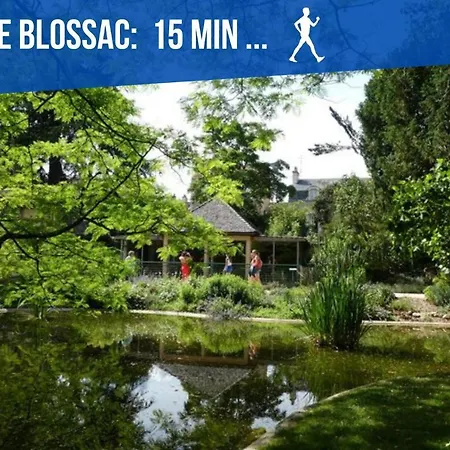 Lägenhet Simplicien *cosy* Plein Centre De *tv* Wifi *cafe* Poitiers